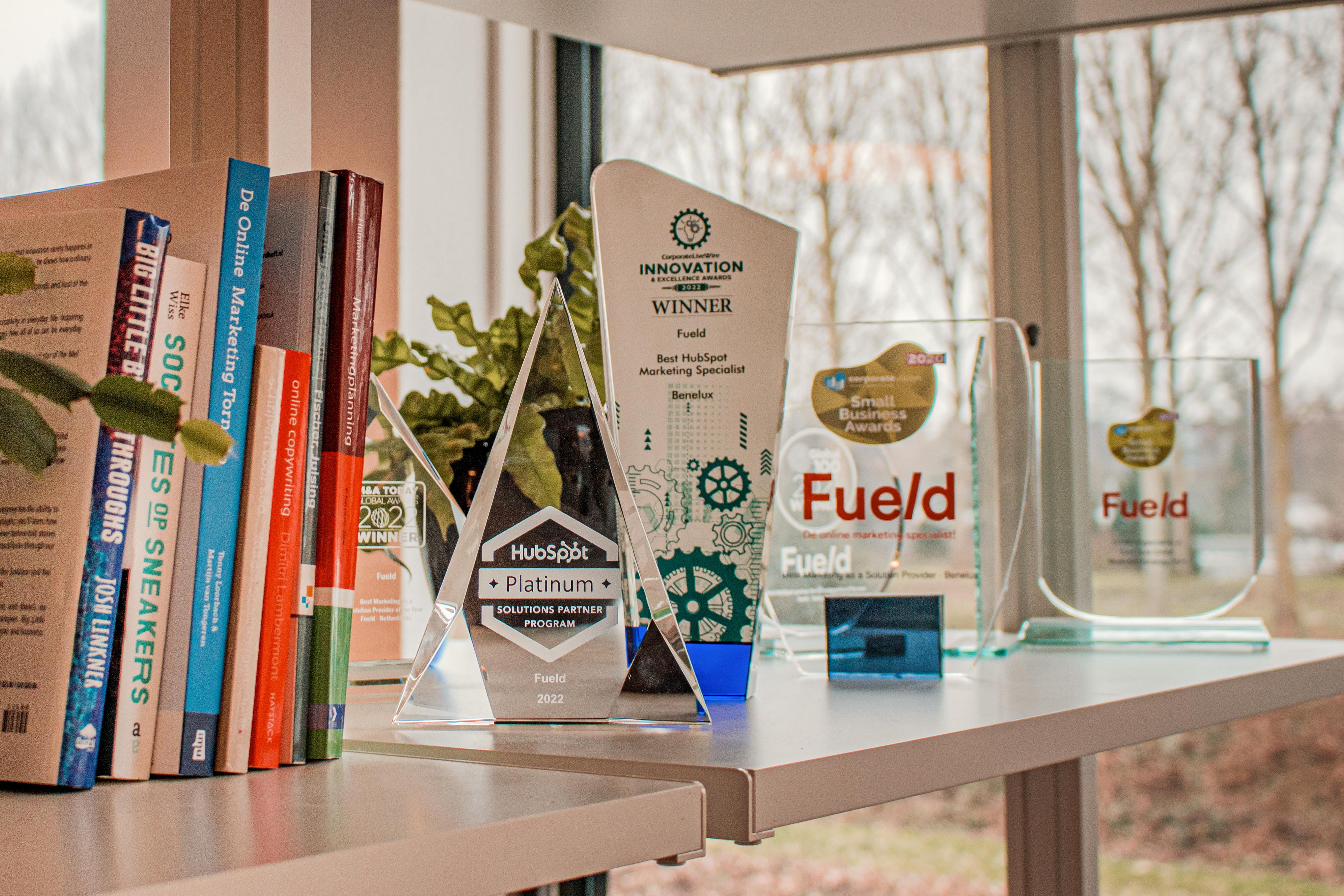 HubSpot awards Fueld